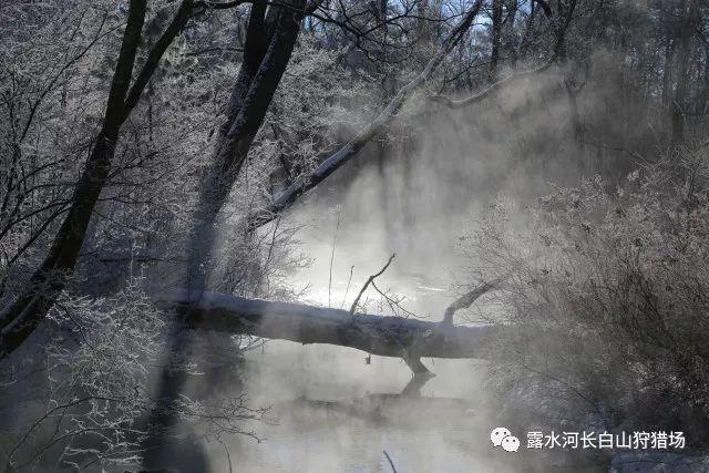 蓝狐视频
