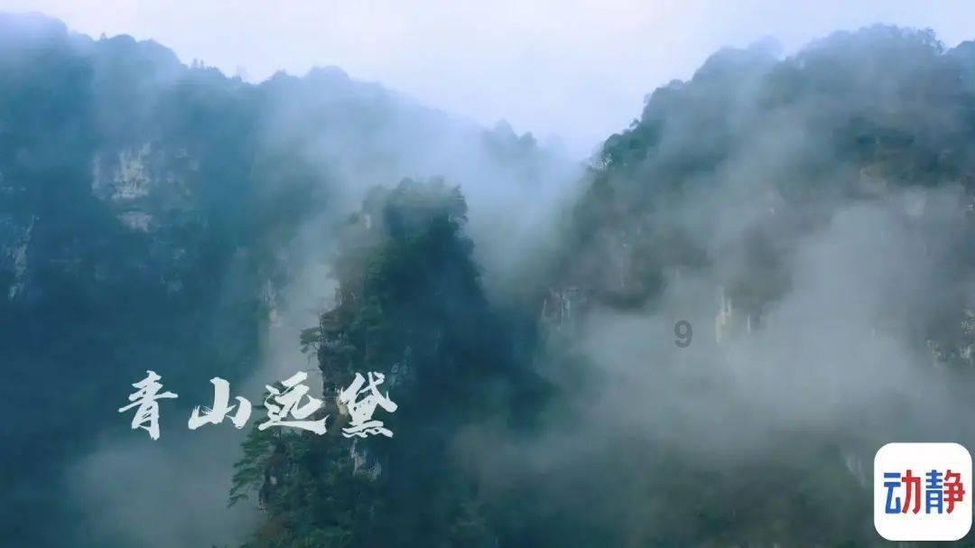 小猫钓鱼开船版最新版下载