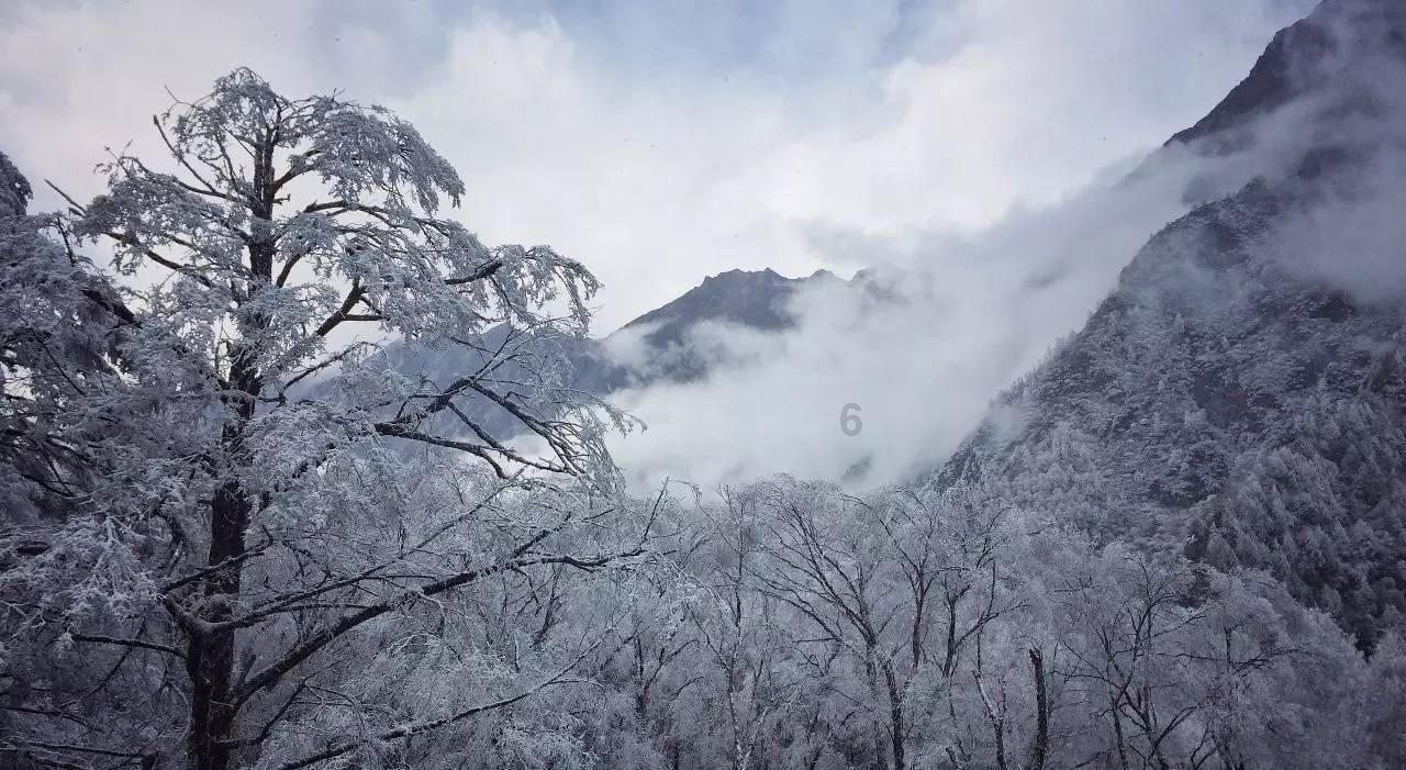 漫威蜘蛛侠