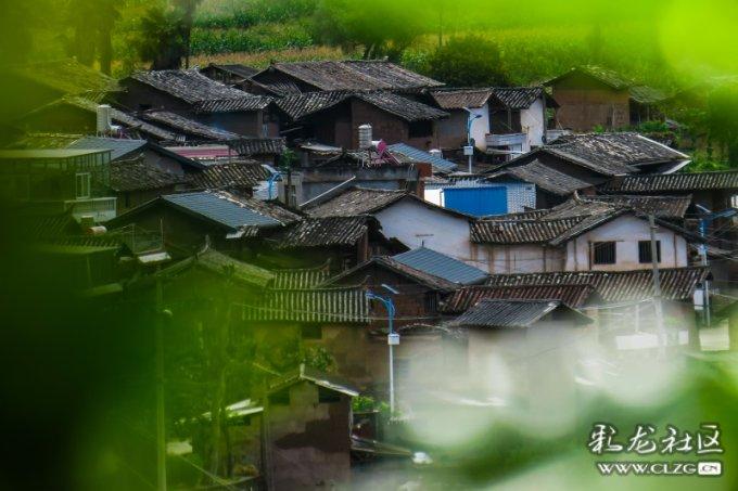 全民烧脑3去广告版