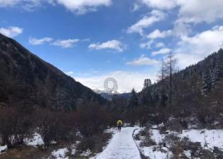 医保2023年最新政策-有问必答平台
