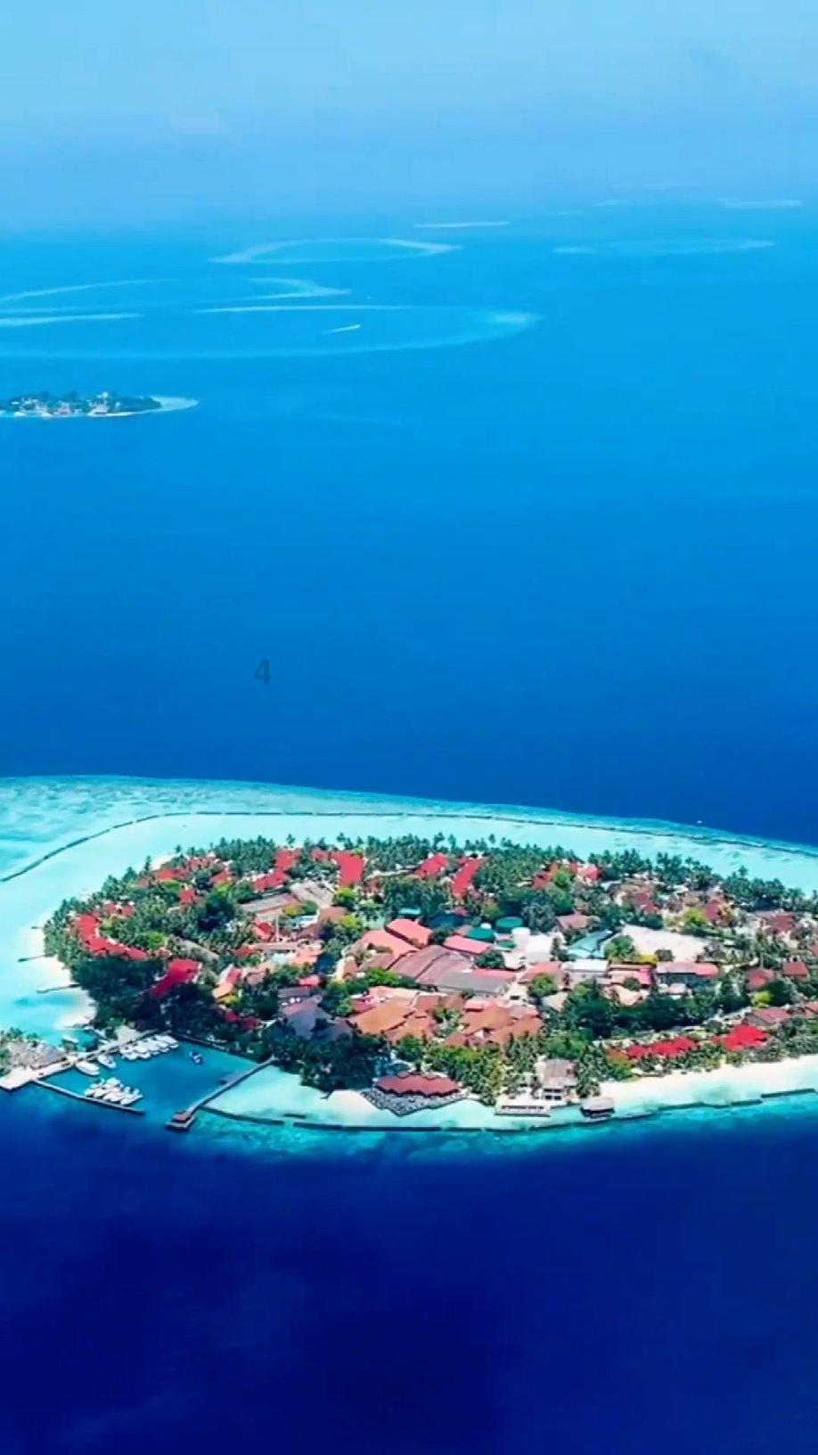 深海迷航