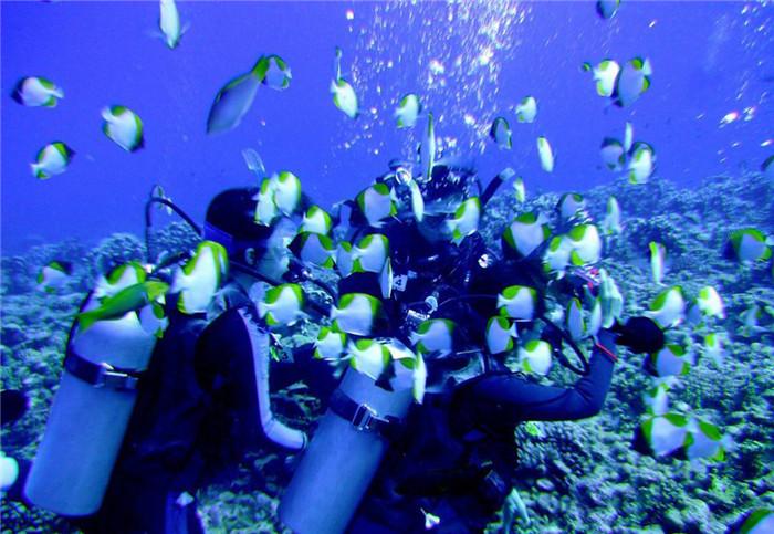 海产大王2中文版