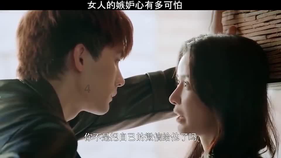 逗小猴开心系列173