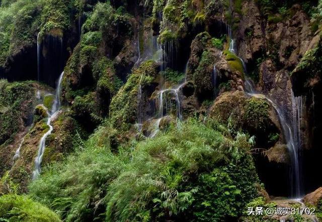 各界导报社论：凝心聚力谱写中国式现代化建设的陕西新篇章——热烈祝贺省政协十三届二次会议开幕