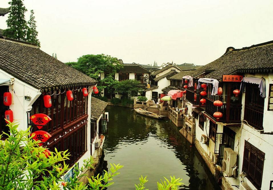 动物帮帮忙保卫家园
